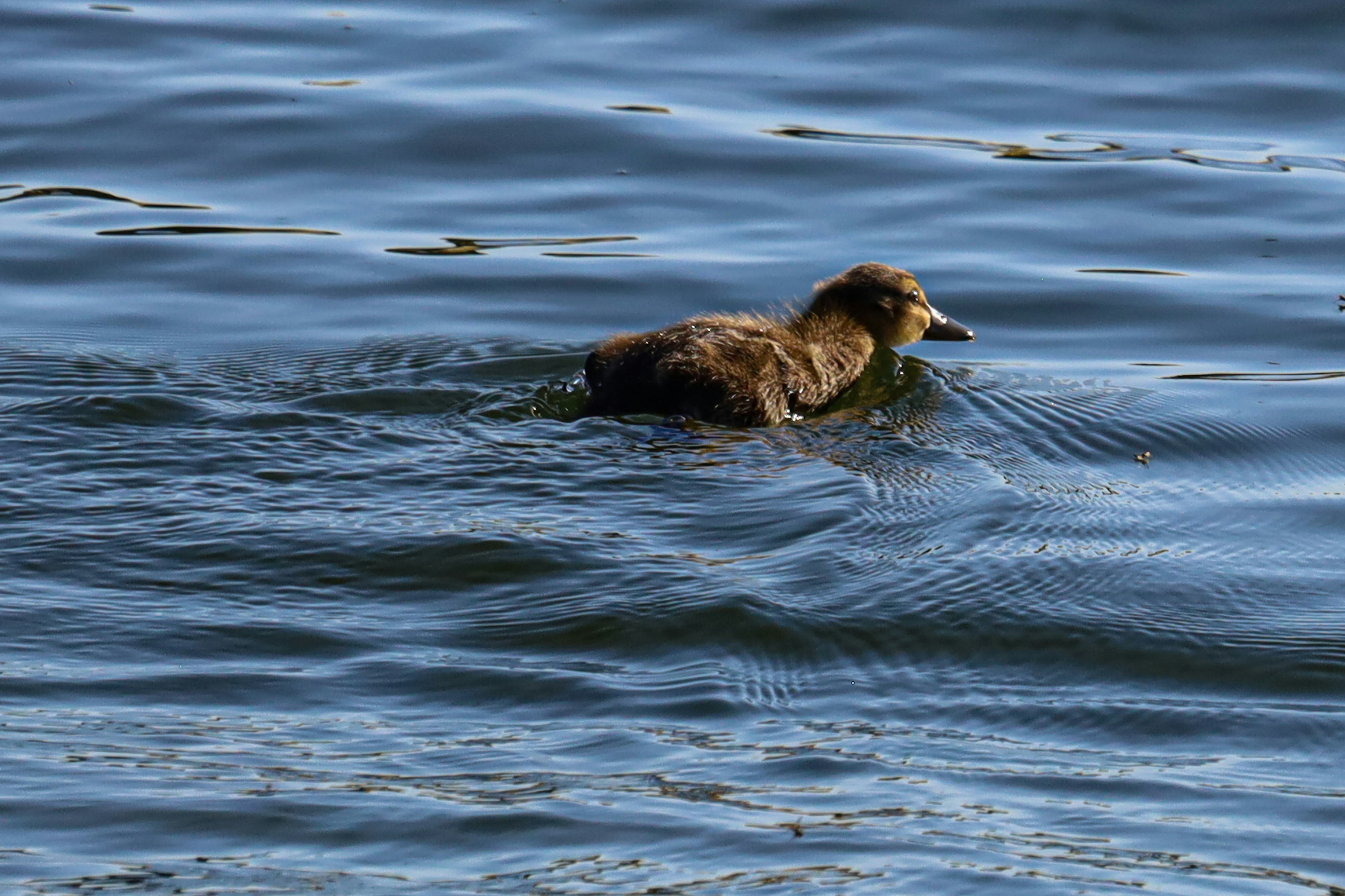 How Agile Development Enhances Creativity In Game Studios Accelerated Learning