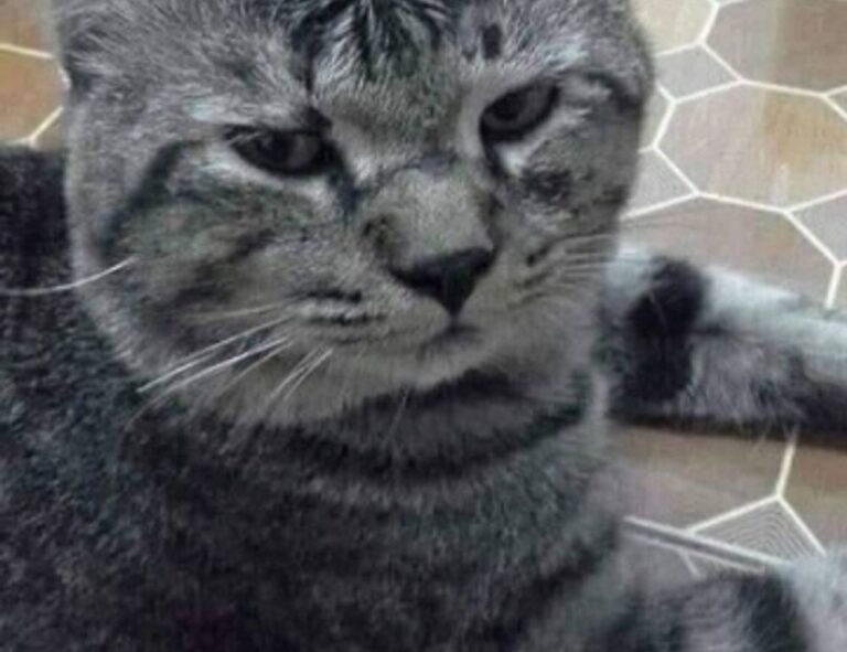 aggr8finance business news by aggreg8