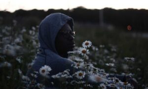 aggr8finance financial updates