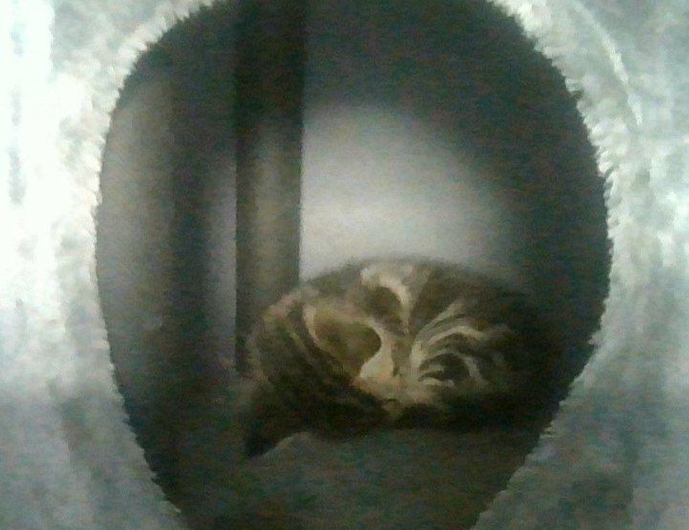 best investment advice for beginners rprinvesting best investment advice for beginners rprinvesting