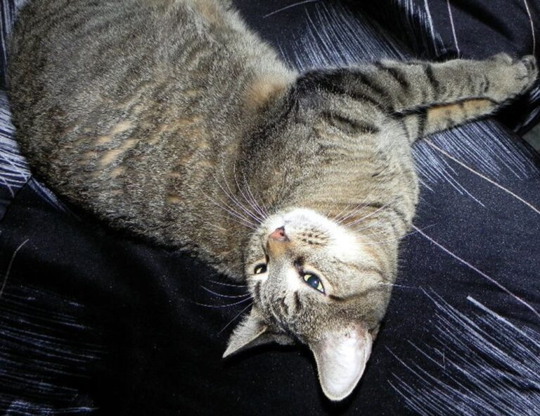 business competition wbcompetitorative