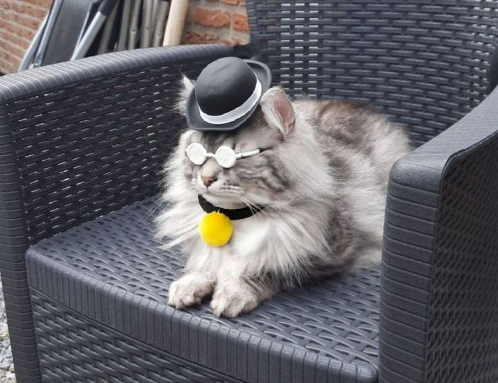 business guide wbbiznesizing