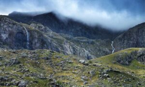 finance advice roarbiznes