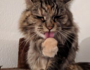 finance guide wbbiznesizing