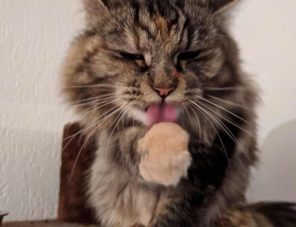 finance guide wbbiznesizing