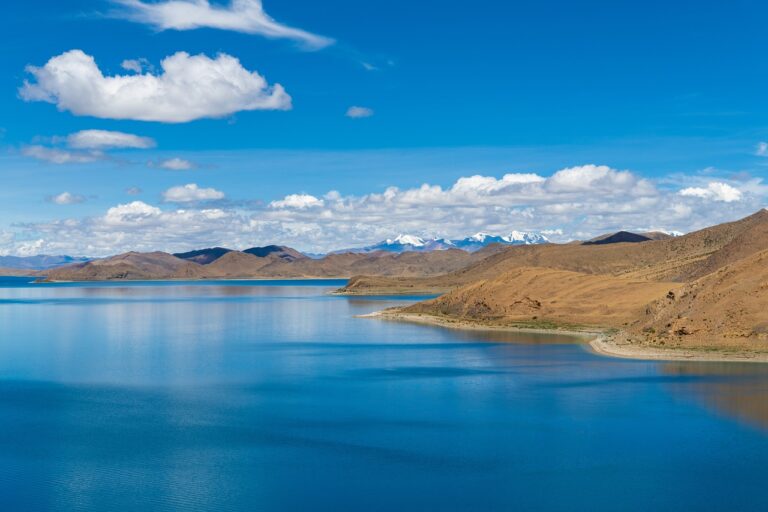 hdfc guide roarbiznes