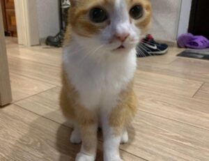 how to generate investments wbinvestimize