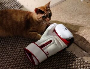 how to grill renkooki