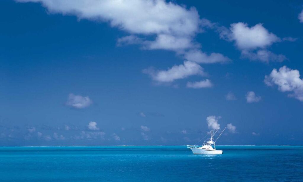 how zayepro pharmaceuticals ltd marketed