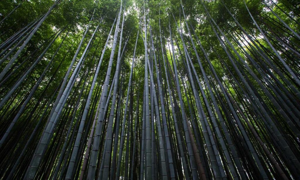 investing news aggr8finance