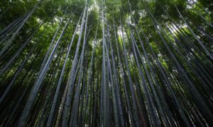 investing news aggr8finance