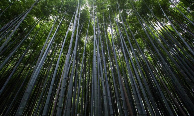 investing news aggr8finance