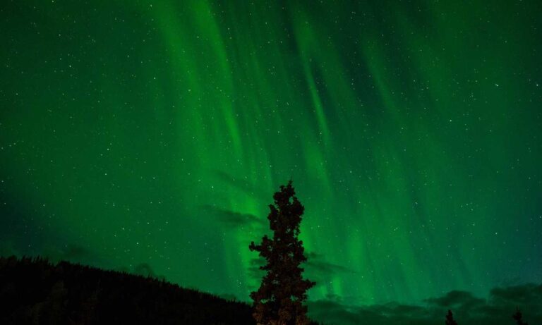 investment guide wbinvestimize