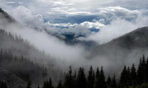 is investment advisor worth it rprinvesting