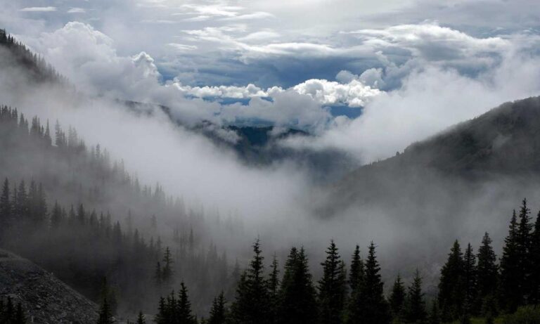 is investment advisor worth it rprinvesting