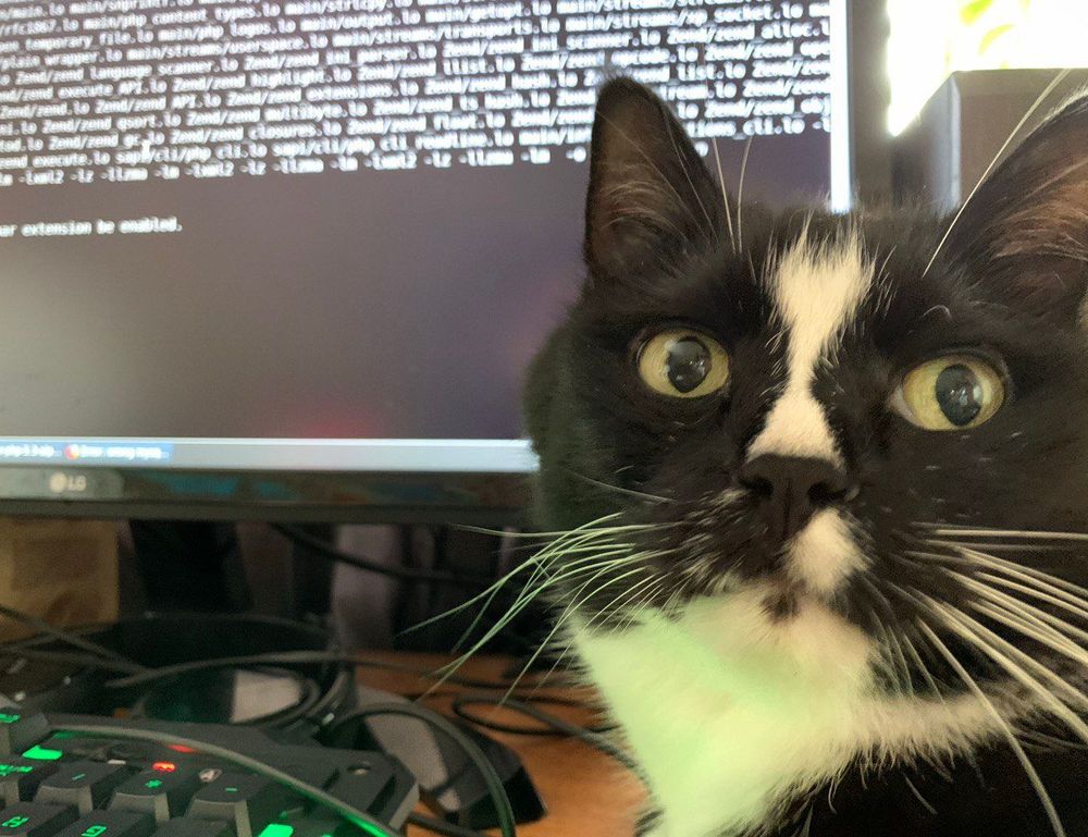 is popguroll popular now