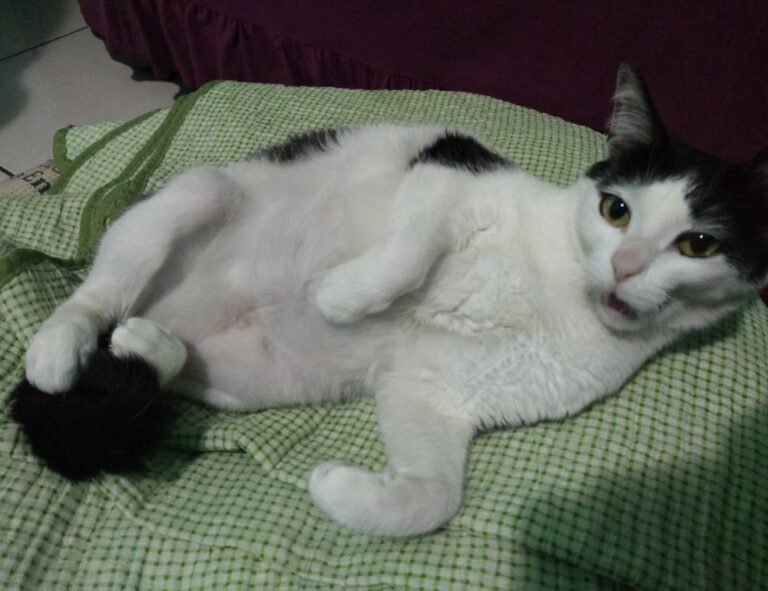 latest funding trend rprinvesting