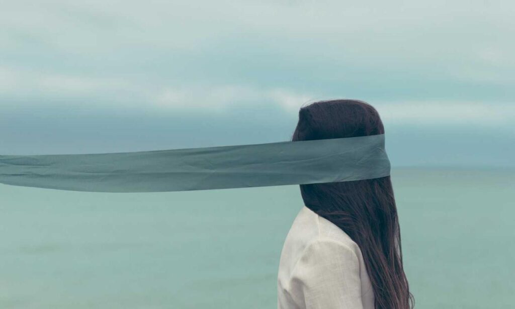 network updates roarbiznes