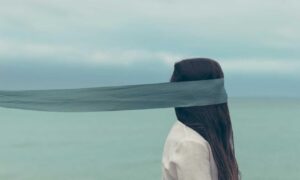 network updates roarbiznes