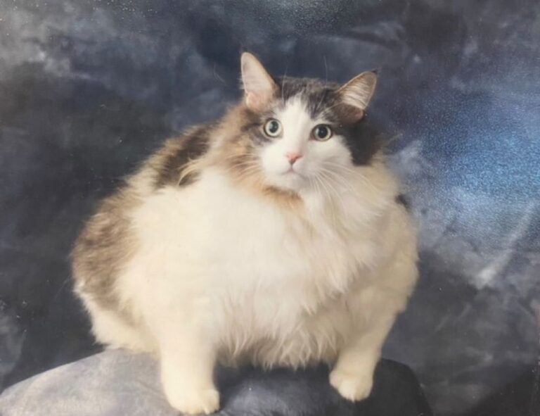 news business aggr8finance