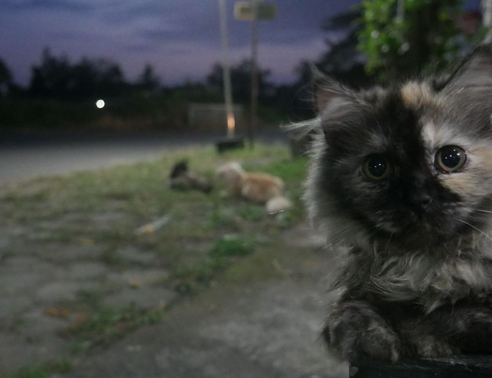 plans aggr8investing plans aggr8investing