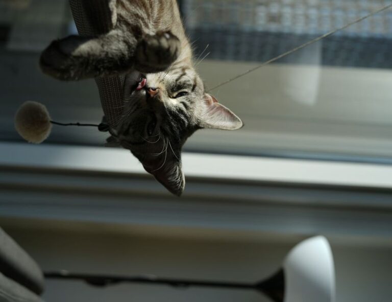 tech guide rprinvesting