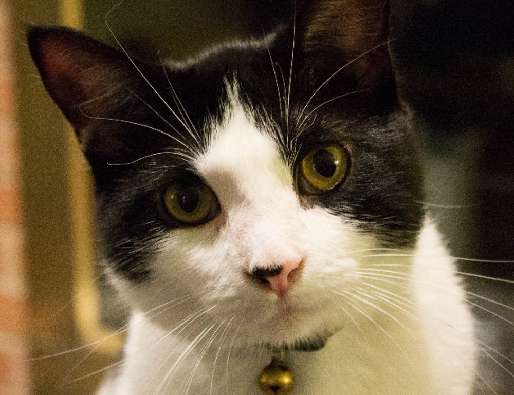 wbinvestimize investment advice from wealthybyte