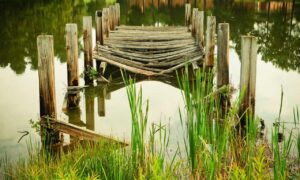 what is competition in business wbcompetitorative