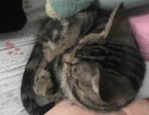 where to find funding advice rprinvesting