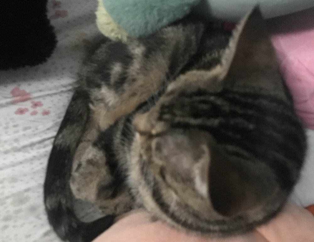 where to find funding advice rprinvesting where to find funding advice rprinvesting