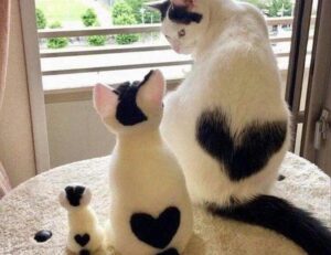 which business ideas to start aggr8investing