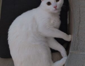 which business ideas to start aggr8investing