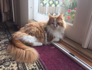 why business consulting is important wbbiznesizing