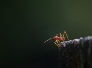 Current Developments yeison jimenez antes y despues