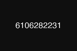 6106282231