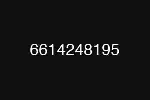 6614248195