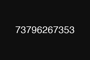 73796267353