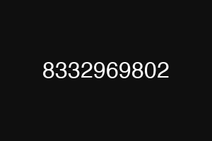 8332969802