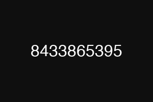 8433865395