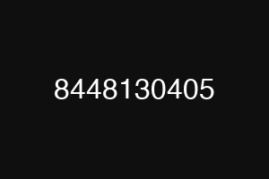 8448130405