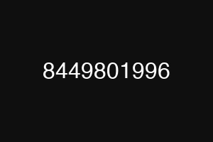8449801996