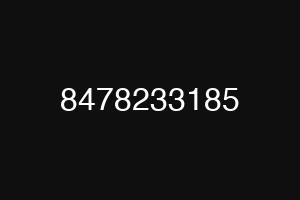 8478233185