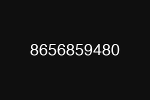 8656859480