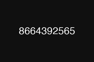8664392565