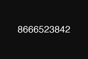 8666523842