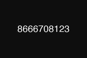 8666708123