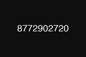 8772902720