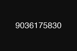 9036175830