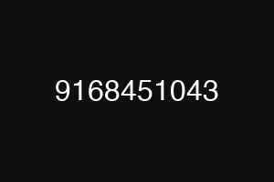 9168451043
