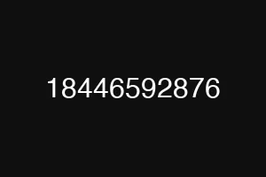 18446592876